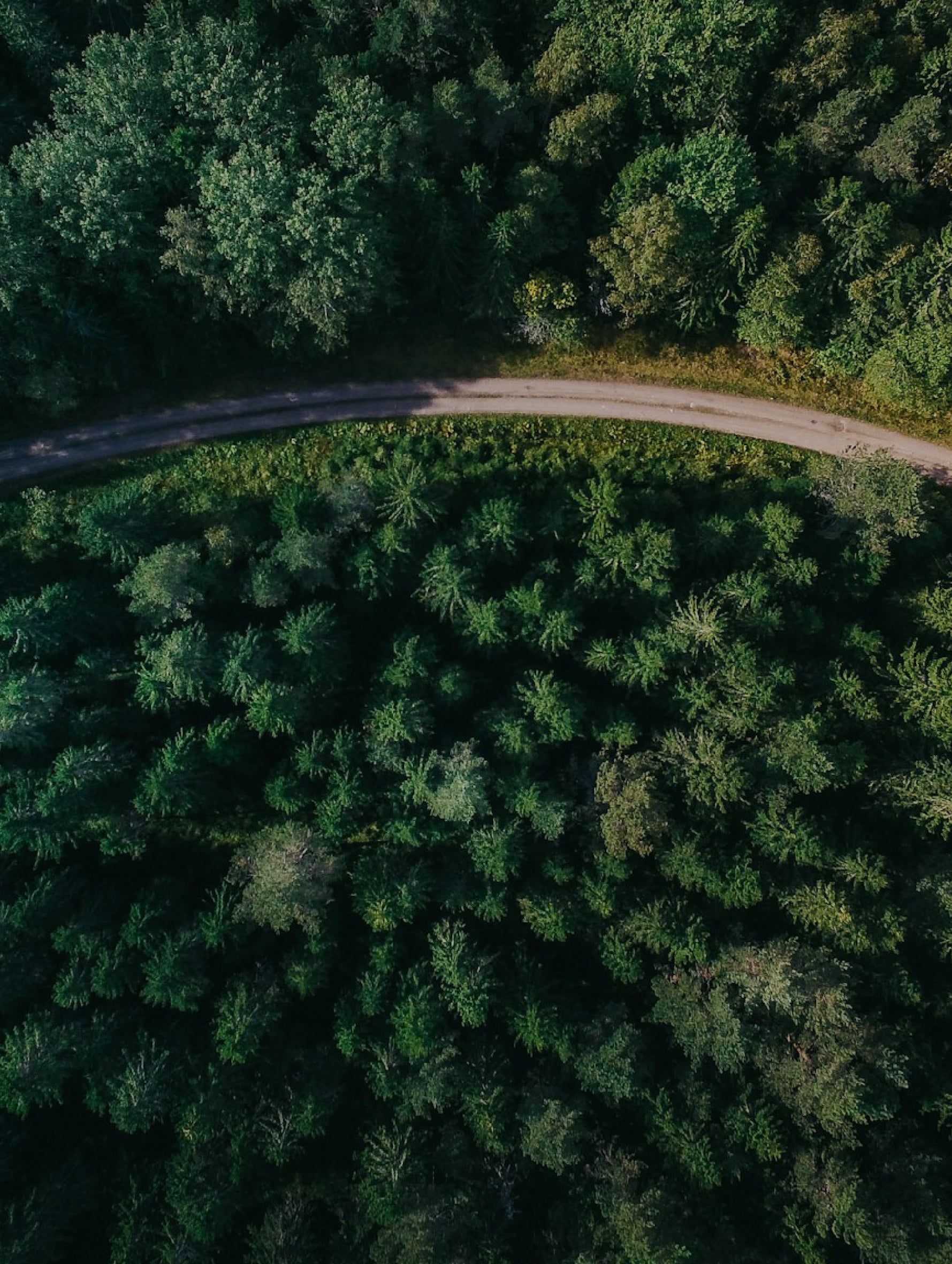 Sustainable Development_ Umay Fitness Brand Concept